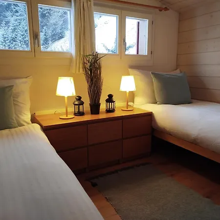 Chalet Wengens One And Only Wengen